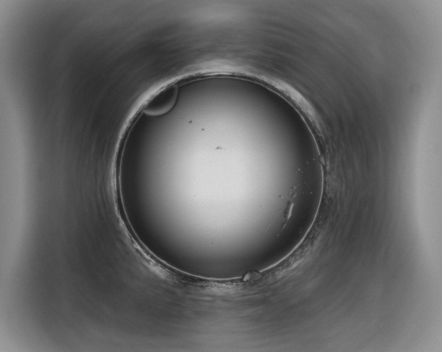 X0000116551191200912101407