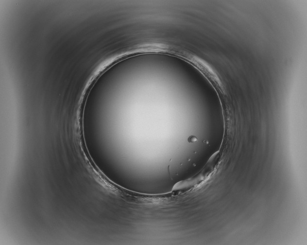 X0000116551192200912101407