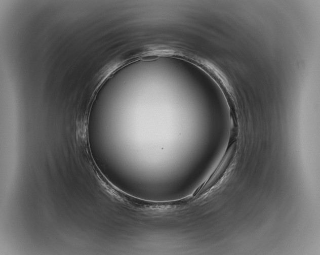 X0000116551193200912101407