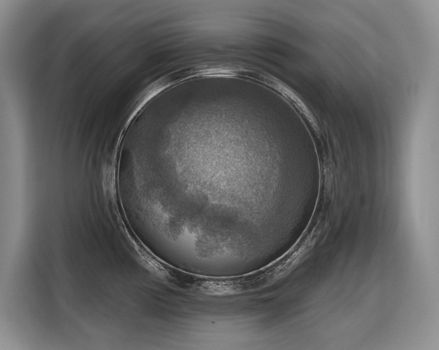 X0000116551194200912101407