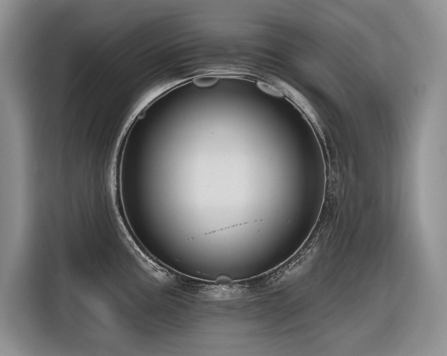 X0000116551195200912101407