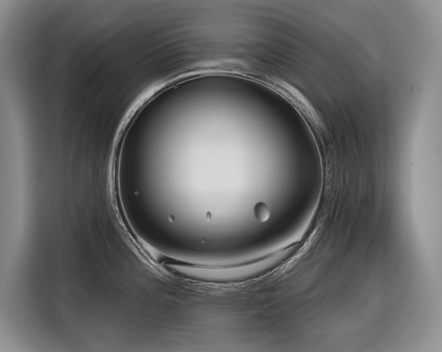 X0000116551196200912101407