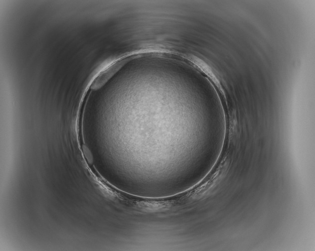X0000116551197200912101407