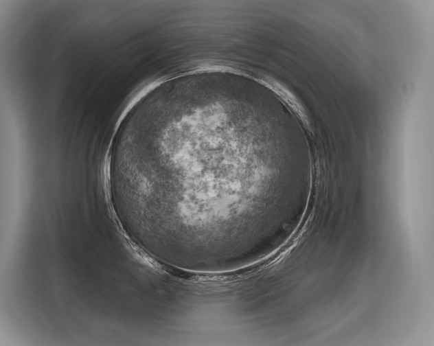 X0000116551198200912101407