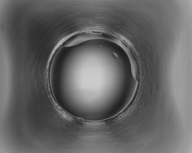 X0000116551200200912101407