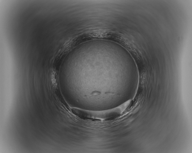 X0000116551202200912101406