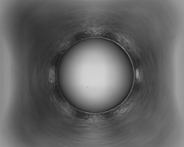 X0000116551203200912101406