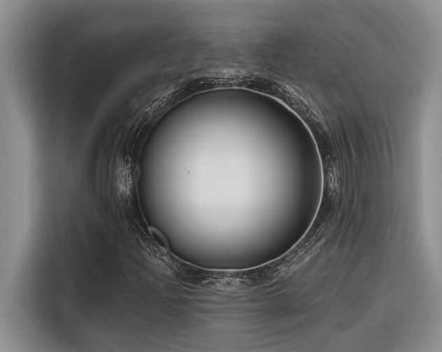X0000116551204200912101406