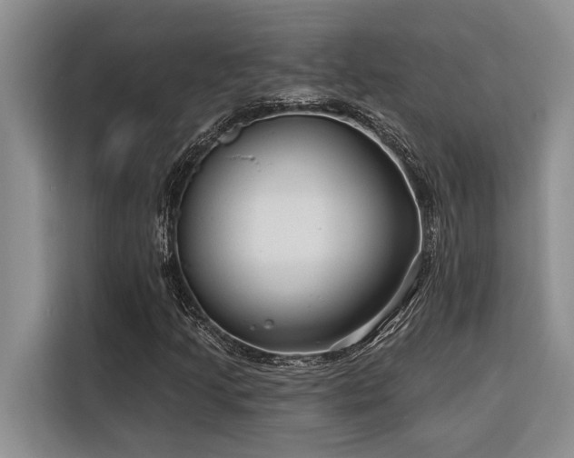 X0000116551205200912101406