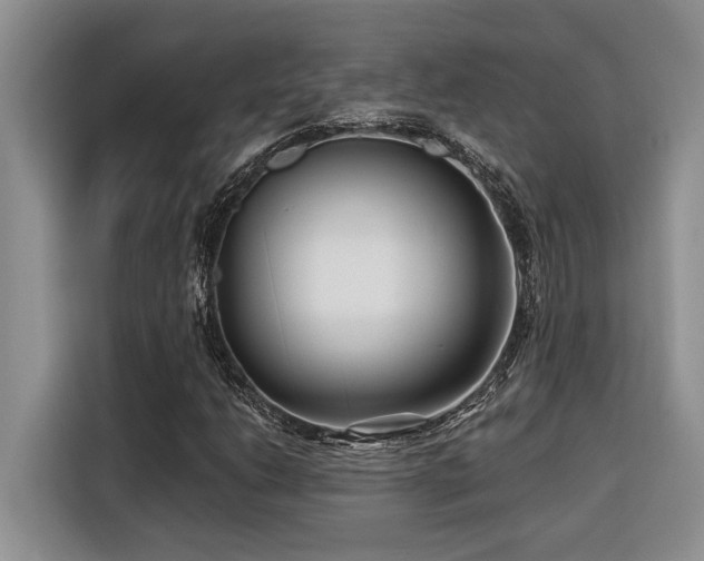 X0000116551206200912101406
