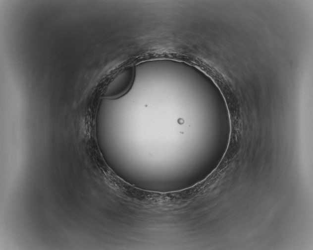 X0000116551207200912101406