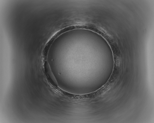X0000116551208200912101406