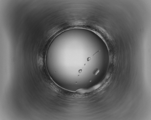 X0000116551209200912101406
