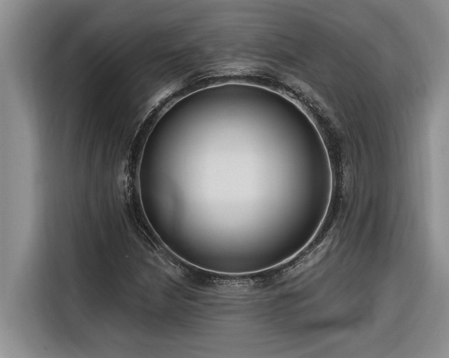 X0000116551210200912101406