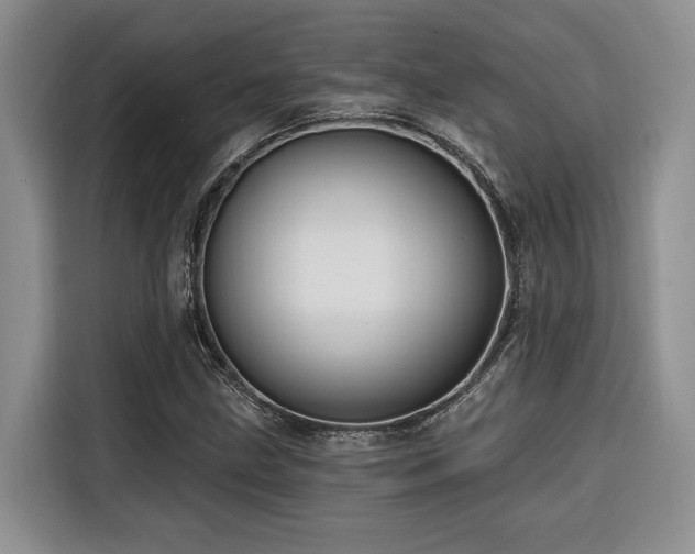 X0000116551211200912101406