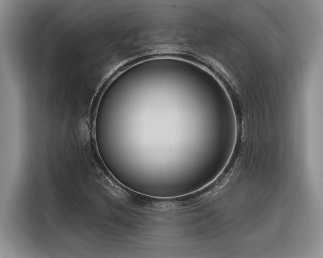 X0000116551212200912101406
