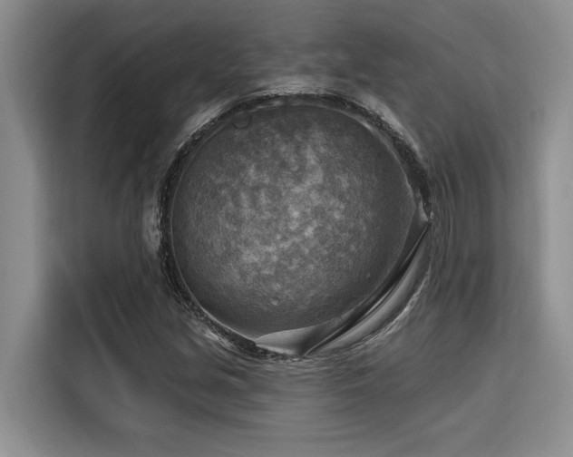 X0000116551213200912101406