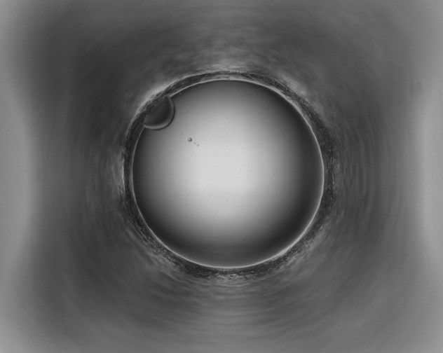 X0000116551214200912101406