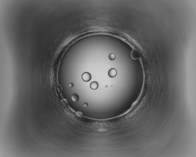 X0000116551215200912101406