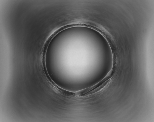 X0000116551216200912101406