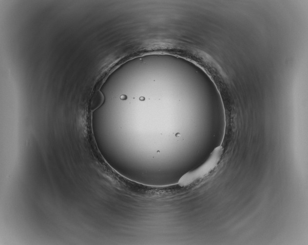 X0000116551217200912101406