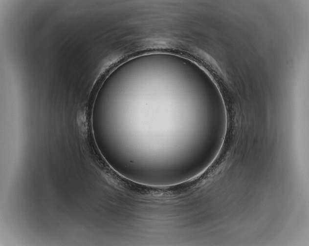 X0000116551218200912101406