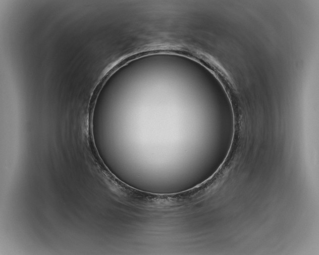 X0000116551220200912101406