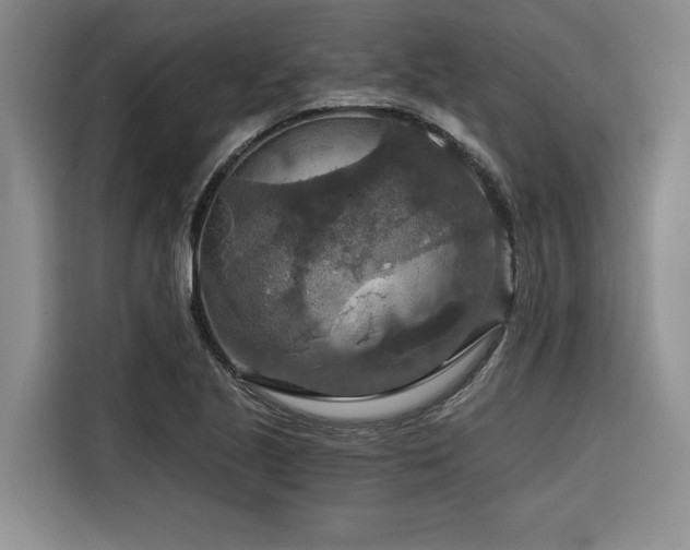 X0000116551221200912101406