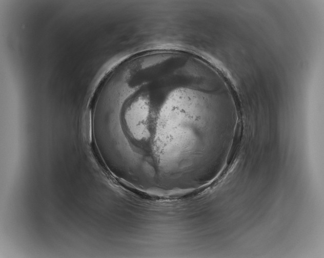 X0000116551223200912101406
