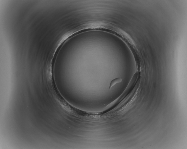 X0000116551226200912101406
