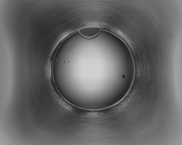 X0000116551227200912101406