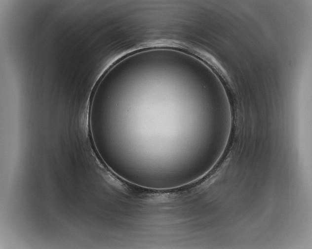 X0000116551228200912101406