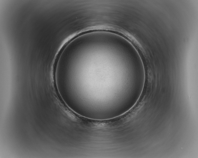 X0000116551230200912101406