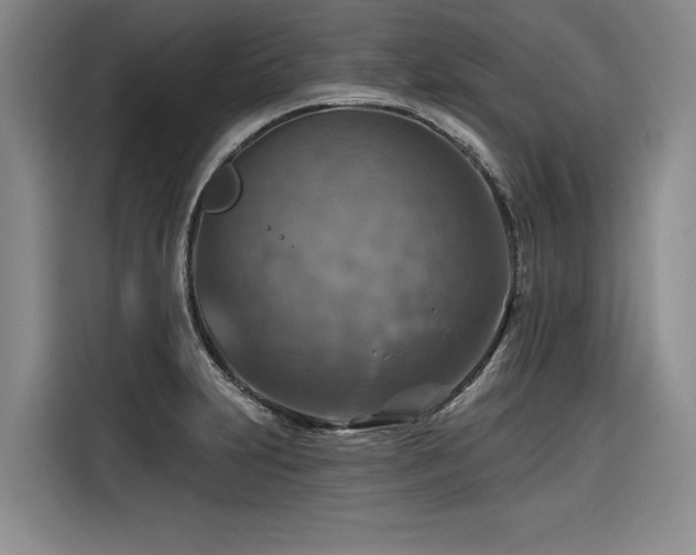 X0000116551231200912101406