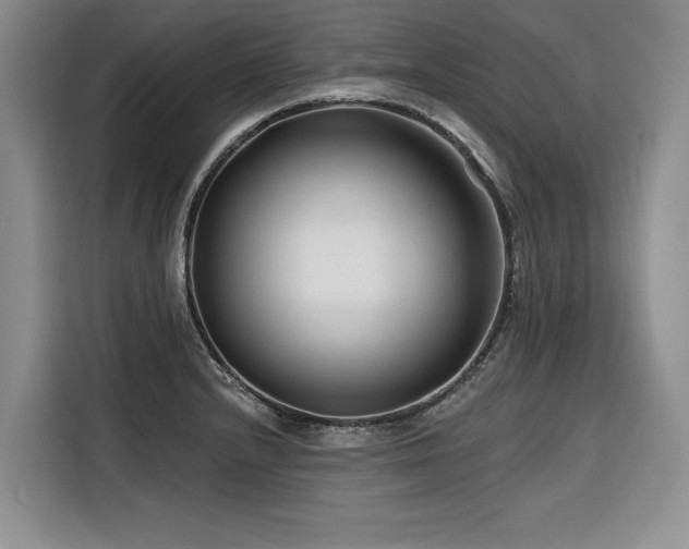 X0000116551232200912101406