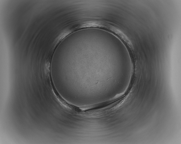 X0000116551233200912101406