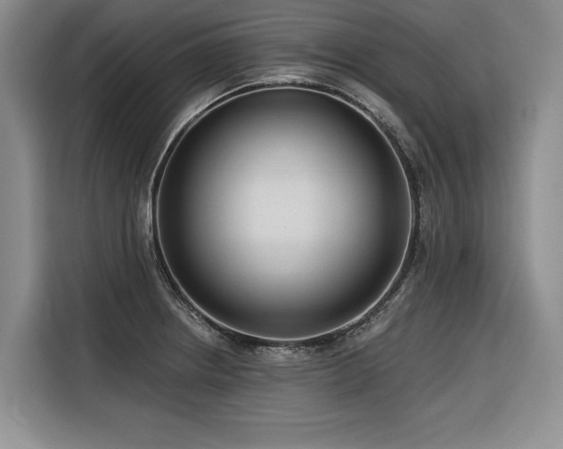 X0000116551234200912101406