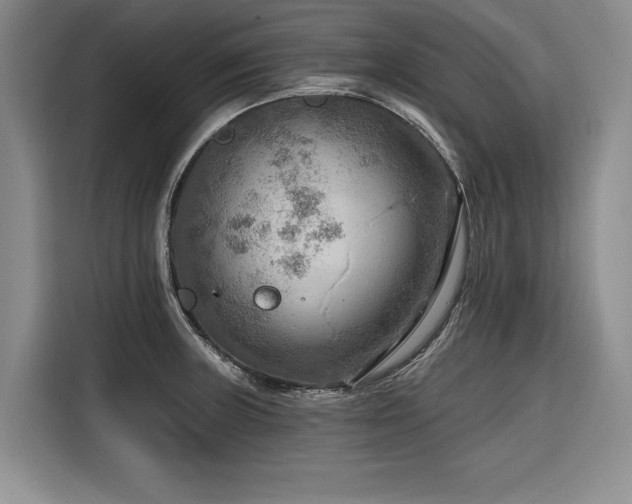 X0000116551235200912101406