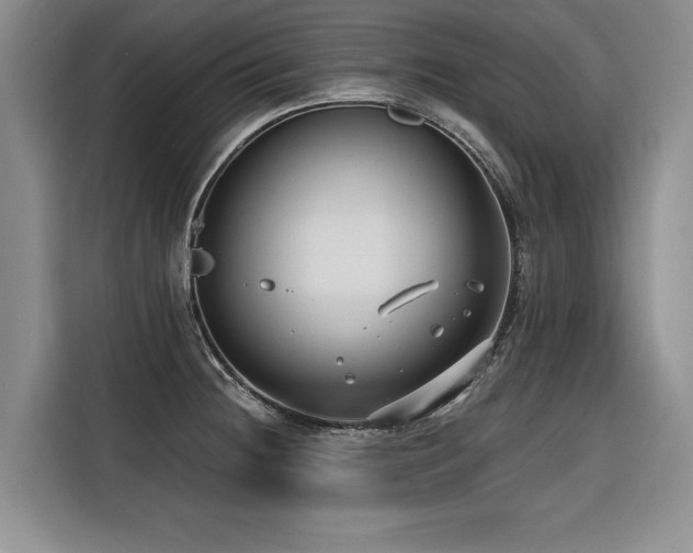 X0000116551236200912101406