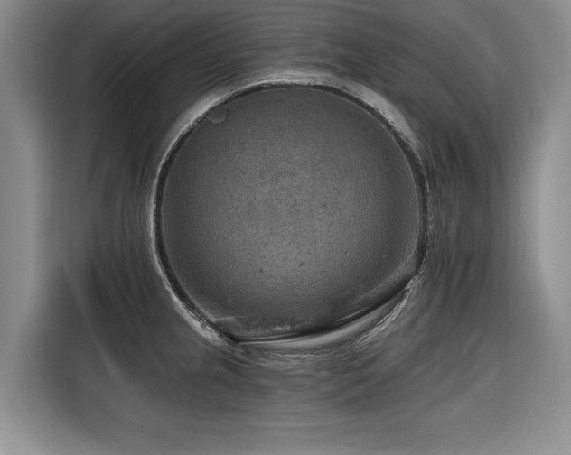 X0000116551237200912101406