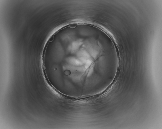 X0000116551239200912101406