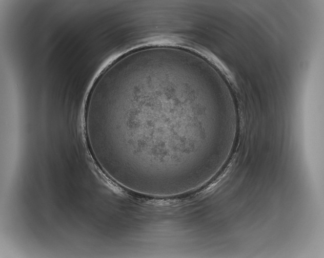 X0000116551240200912101406