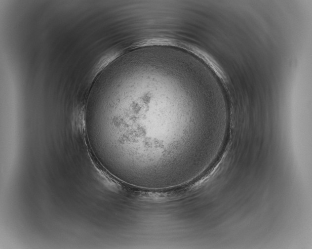 X0000116551241200912101406