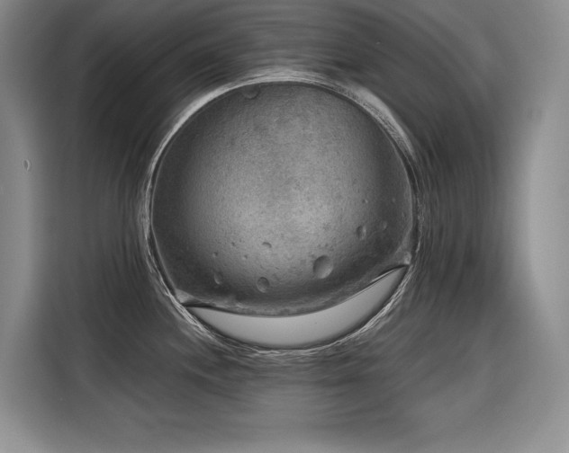 X0000116551244200912101406