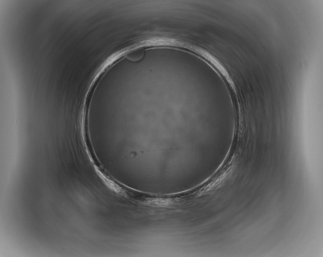 X0000116551245200912101406
