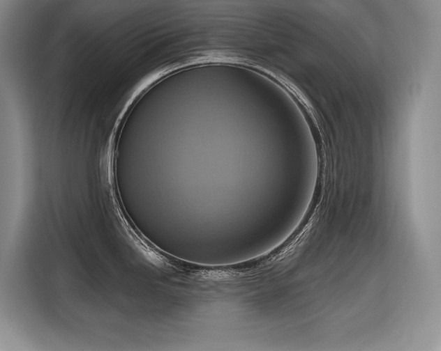 X0000116551246200912101406
