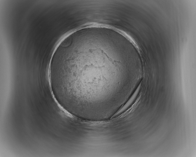 X0000116551247200912101406