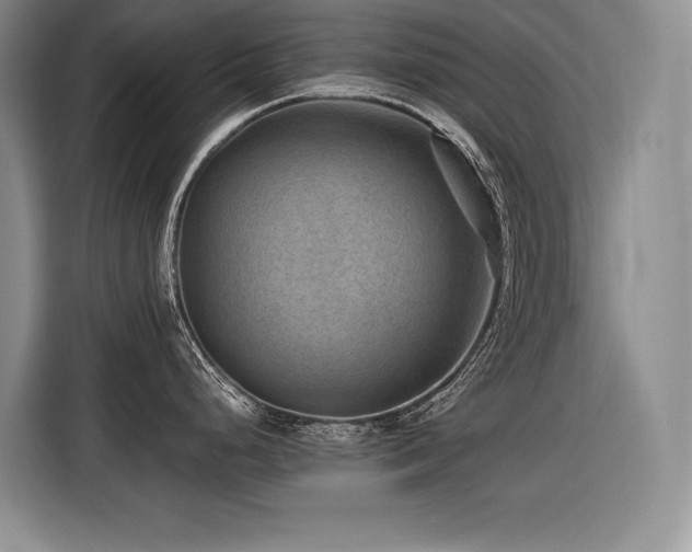 X0000116551248200912101407