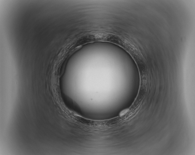 X0000116551249200912101406