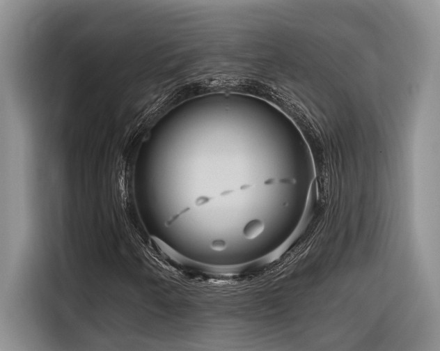 X0000116551250200912101406